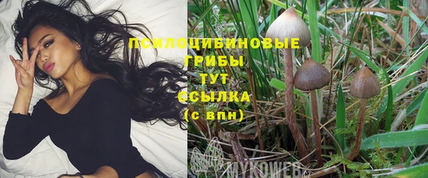 mdpv Кулебаки