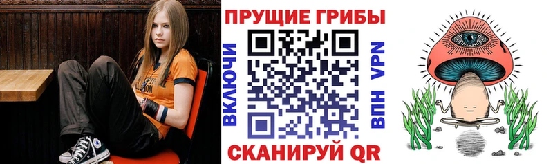 Псилоцибиновые грибы Psilocybine cubensis  МЕГА зеркало  Малоярославец 
